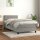 vidaXL Boxspringbett mit Matratze Hellgrau 100x200 cm Samt