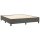 vidaXL Boxspringbett mit Matratze Dunkelgrau 160x200 cm Samt