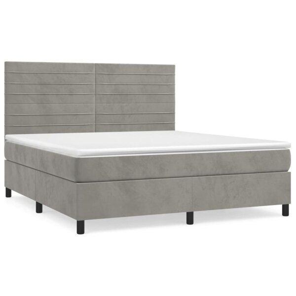 vidaXL Boxspringbett mit Matratze Hellgrau 160x200 cm Samt