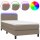 vidaXL Boxspringbett mit Matratze &amp; LED Taupe 100x200 cm Stoff