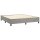 vidaXL Boxspringbett mit Matratze Hellgrau 200x200 cm Samt