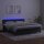 vidaXL Boxspringbett mit Matratze &amp; LED Schwarz 180x200 cm Samt