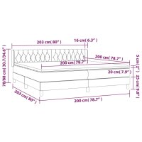 WOWONA Boxspringbett mit Matratze Dunkelgrau 200x200 cm Samt