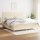 vidaXL Boxspringbett mit Matratze Creme 200x200 cm Stoff