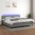 vidaXL Boxspringbett mit Matratze &amp; LED Dunkelgrau 200x200 cm Stoff