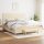 vidaXL Boxspringbett mit Matratze Creme 200x200 cm Stoff