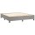 vidaXL Boxspringbett mit Matratze Hellgrau 180x200 cm Samt