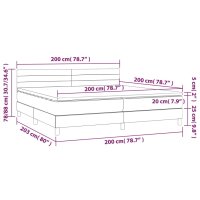 vidaXL Boxspringbett mit Matratze Hellgrau 200x200 cm Samt