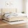 vidaXL Boxspringbett mit Matratze Creme 200x200 cm Stoff