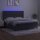 vidaXL Boxspringbett mit Matratze &amp; LED Dunkelgrau 180x200 cm Samt