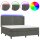 vidaXL Boxspringbett mit Matratze &amp; LED Dunkelgrau 180x200 cm Samt