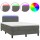 vidaXL Boxspringbett mit Matratze &amp; LED Dunkelgrau 120x200 cm Samt