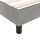 vidaXL Boxspringbett Hellgrau 120x200 cm Samt