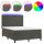 vidaXL Boxspringbett mit Matratze &amp; LED Dunkelgrau 140x190 cm Samt