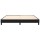 vidaXL Boxspringbett Schwarz 160x200 cm Stoff