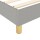 vidaXL Boxspringbett Hellgrau 160x200 cm Stoff