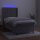 WOWONA Boxspringbett mit Matratze &amp; LED Hellgrau 100x200 cm Samt