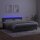 vidaXL Boxspringbett mit Matratze &amp; LED Dunkelgrau 180x200 cm Samt