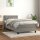 vidaXL Boxspringbett mit Matratze Hellgrau 100x200 cm Samt