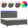 vidaXL Boxspringbett mit Matratze &amp; LED Dunkelgrau 200x200 cm Samt