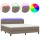 vidaXL Boxspringbett mit Matratze &amp; LED Taupe 160x200 cm Stoff