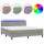 WOWONA Boxspringbett mit Matratze &amp; LED Hellgrau 180x200 cm Samt