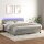 WOWONA Boxspringbett mit Matratze &amp; LED Hellgrau 180x200 cm Samt