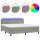 WOWONA Boxspringbett mit Matratze &amp; LED Hellgrau 180x200 cm Samt