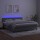 vidaXL Boxspringbett mit Matratze &amp; LED Hellgrau 180x200 cm Samt