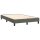 vidaXL Boxspringbett mit Matratze Dunkelgrau 120x200 cm Samt