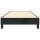 vidaXL Boxspringbett Schwarz 80x200 cm Samt