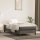 vidaXL Boxspringbett mit Matratze Dunkelgrau 90x190 cm Samt