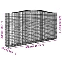 vidaXL Gabionen mit Hochbogen 2 Stk. 400x50x200/220cm Verzinktes Eisen