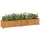 vidaXL Hochbeet 150x30x25 cm Massivholz Teak