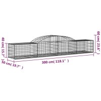 vidaXL Gabionen mit Hochbogen 3 Stk. 300x50x40/60 cm Verzinktes Eisen