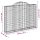 vidaXL Gabionen mit Hochbogen 3 Stk. 200x30x140/160cm Verzinktes Eisen
