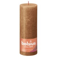 Bolsius Rustikale Stumpenkerzen Shine 4 Stk. 190x68 mm Gew&uuml;rzbraun