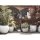 Capi Blumentopf Nature Row Elegant Niedrig 36x47cm Elfenbein KRWI782