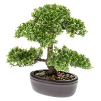 Emerald Kunstpflanze Bonsai Mini-Ficus Grün 32 cm...