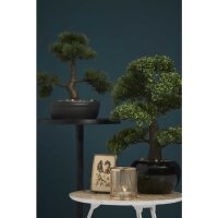 Emerald Kunstpflanze Bonsai Ficus Gr&uuml;n 47 cm 420006