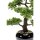 Emerald Kunstpflanze Bonsai Ficus Gr&uuml;n 47 cm 420006