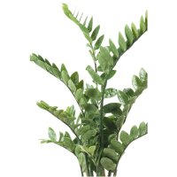 Emerald Kunstpflanze Zamioculcas Gr&uuml;n 110 cm 11.662C