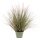 Emerald K&uuml;nstliches Pennisetum Lampenputzergras Gr&uuml;n 71 cm 418155