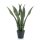 Emerald Sansevieria Bogenhanf K&uuml;nstlich 55 cm im Topf