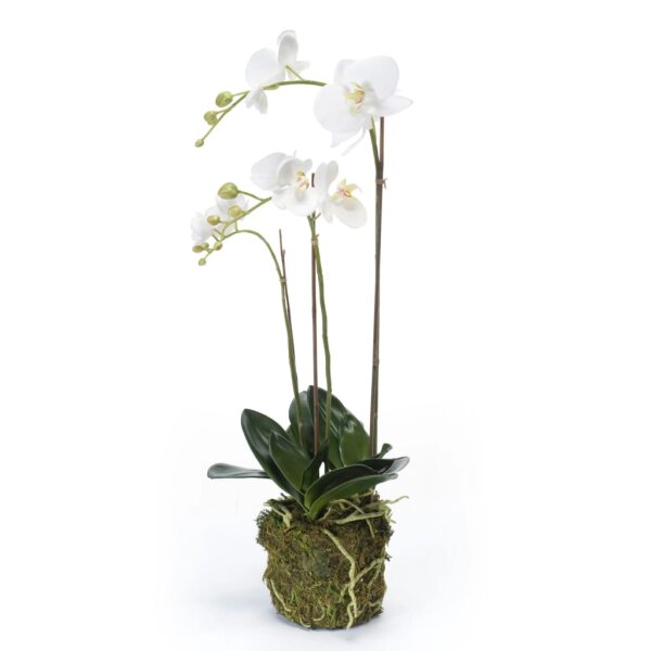 Emerald K&uuml;nstliche Phalaenopsis-Orchidee Wei&szlig; 70 cm