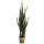 Emerald K&uuml;nstliche Pflanze Sanseveria im Topf 84 cm