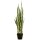 Emeral Kunstpflanze Sansevieria Bogenhanf im Plastiktopf 97 cm