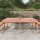 vidaXL Gartentisch 203,5x100x76 cm Massivholz Douglasie