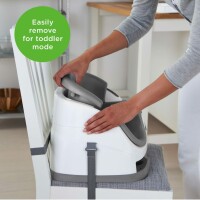 Ingenuity 2-in-1 Babysity Schiefergrau