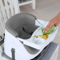 Ingenuity 2-in-1 Babysity Schiefergrau